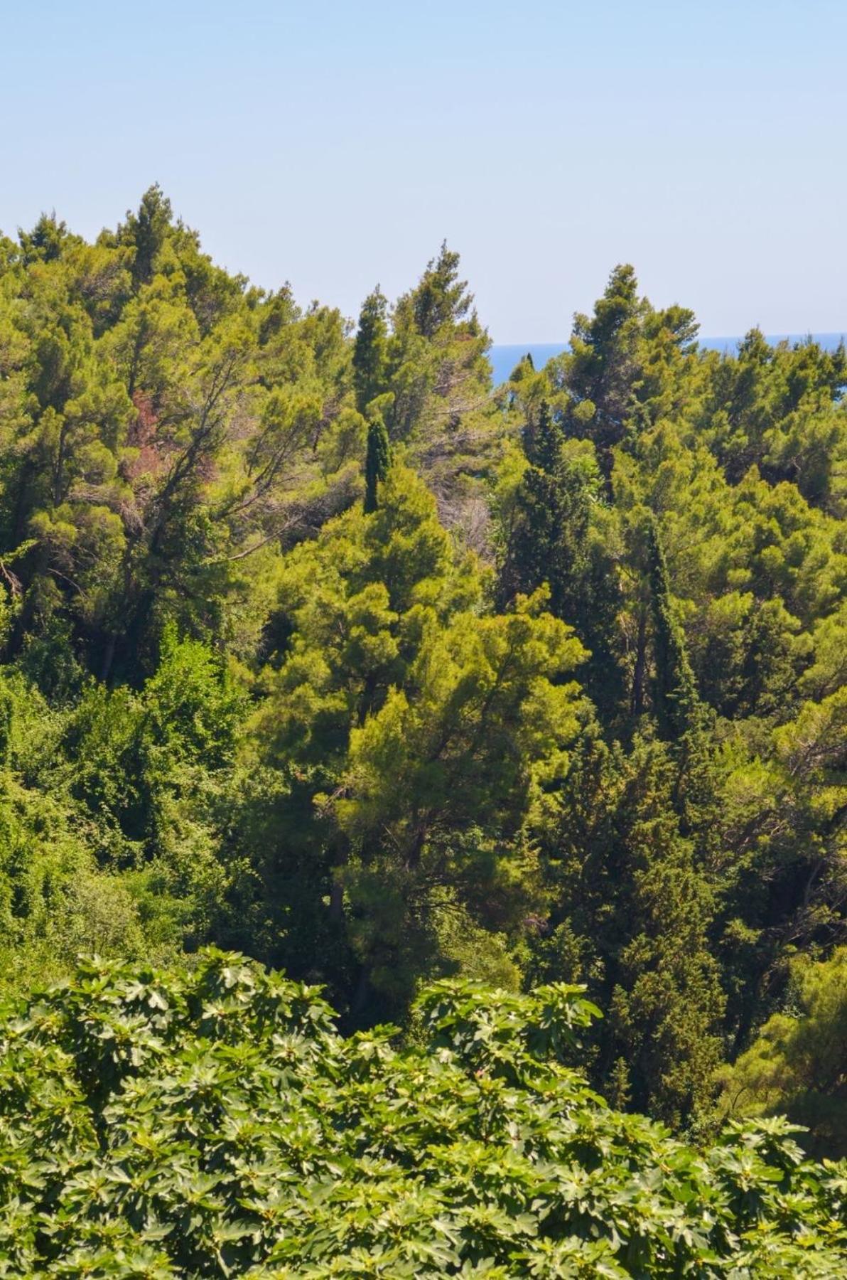 Villa Dulsinea Ulcinj Eksteriør billede